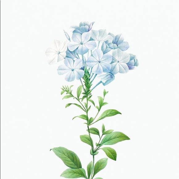 Meet your Posher, Julia - Picture 1 of 1